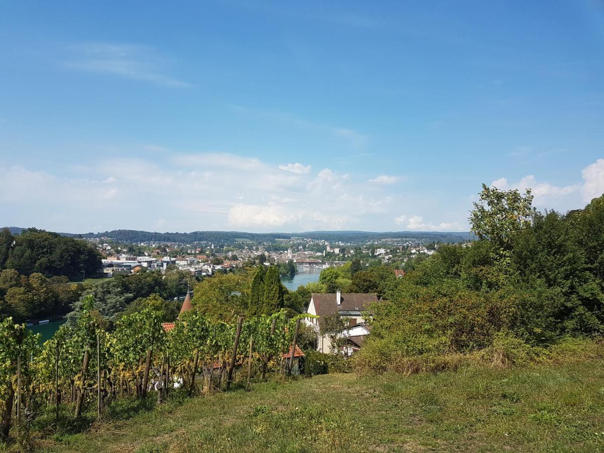 Ferienwohnung Rheinblick In Buesingen -Keine Monteure- Busingen Exterior foto
