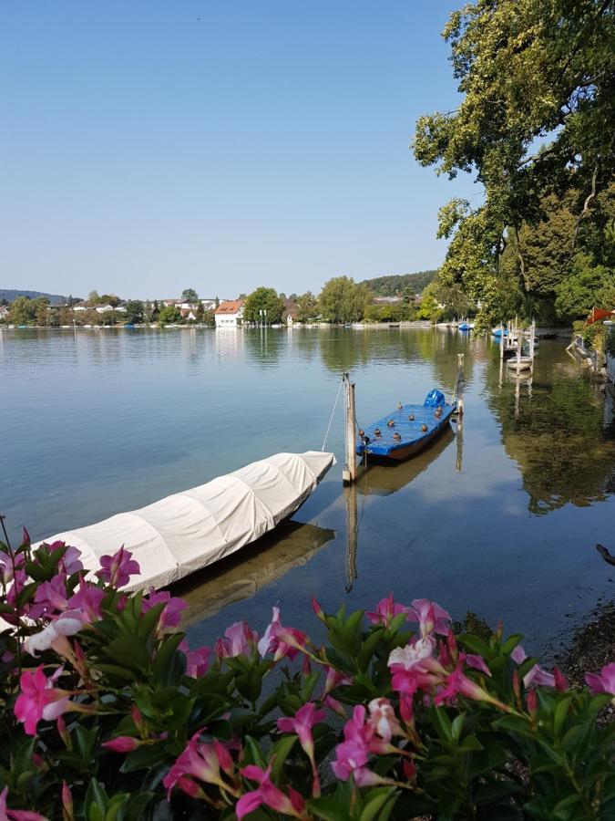 Ferienwohnung Rheinblick In Buesingen -Keine Monteure- Busingen Exterior foto